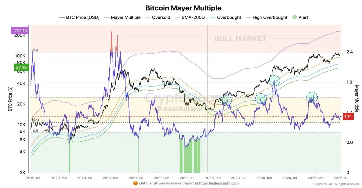 Bitcoin Mayer Multiple Tool