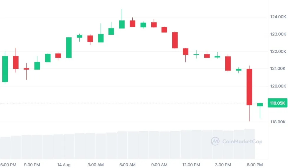 Bitcoin Price Crash