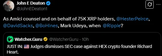 AD 4nXdNiPk63fw3fEXabQPBmImIuDqoTuy5QJU7pTcX JpUHRraOnRnLPwfKbpMV0a1egkDmCKcD4DSb015md9y6TU r1 tigFO