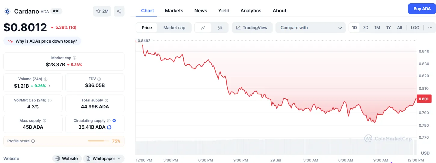 AD 4nXdOSB2DnlAXgOFS2CRTPQS3CGvy4Ndj IkXeJY7I8ElocEPZTunMy9emEZkaOZTd BC3qEpHjsAG1EDaxJlH5PQtfLgijwW