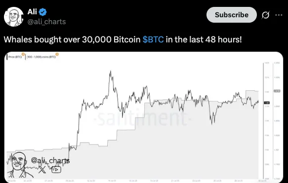 Whales Accumulate 30,000 BTC Amid Surge
