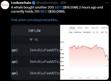 Whale Bought Bitcoin