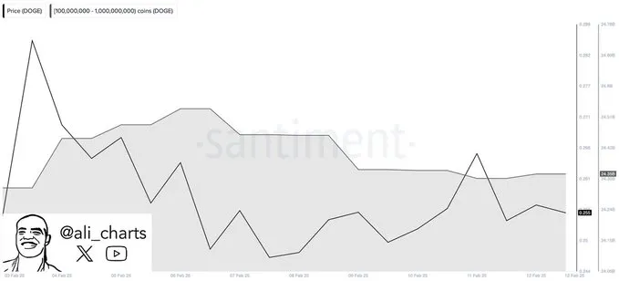 Dogecoin whale activity