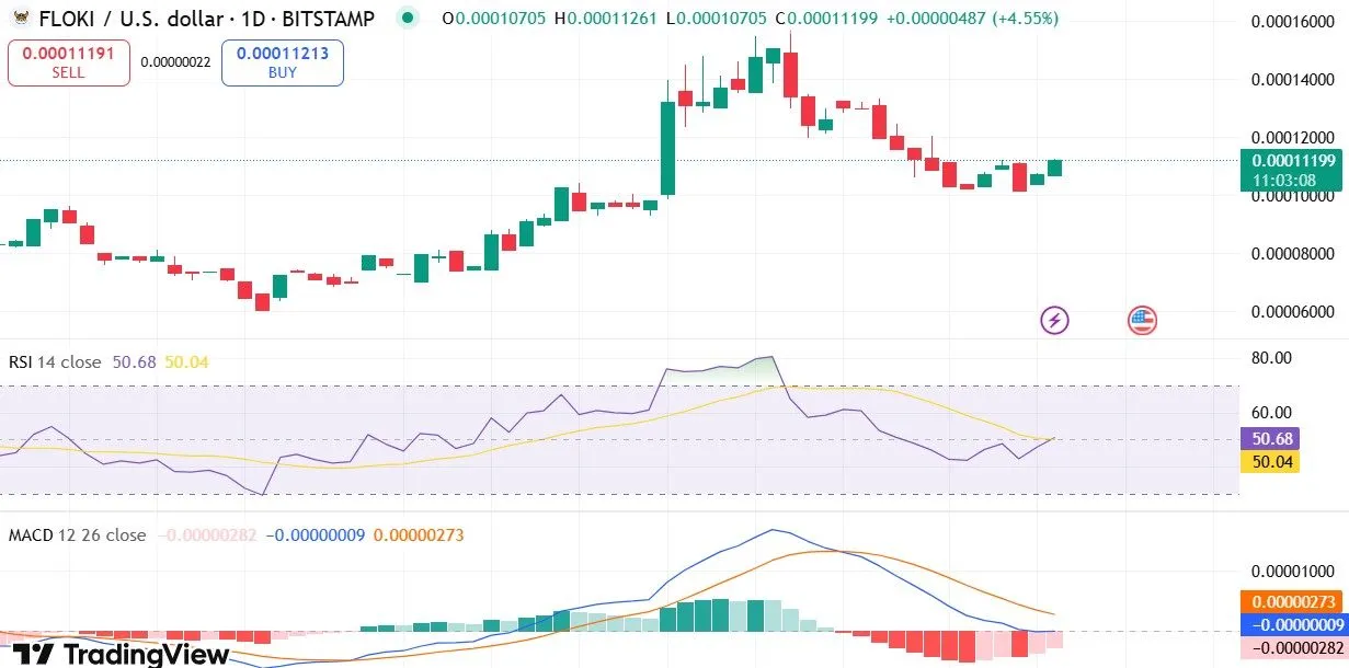 Floki Price Prediction Analysis