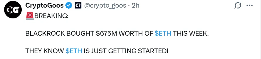 AD 4nXdYZg297QPmoaFyZzvQolFqNfSCkBBlBg5JVsbnWtpOD41u50anm0QayB1hkv7pfTdDvSVK5JftjMxVKBPw fz tCKCq gj