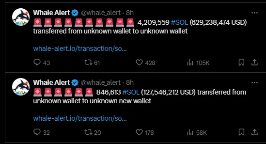 Whale Alert Whale Alert