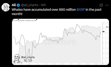 XRP Whale accumulation XRP Whale accumulation
