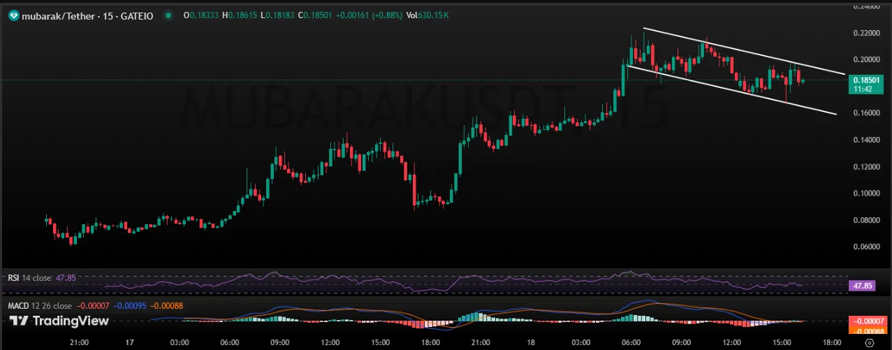 Mubarak 1-Day Chart