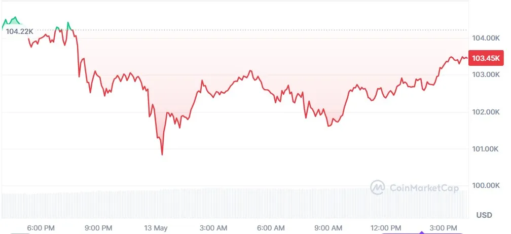 Bitcoin Price Crash