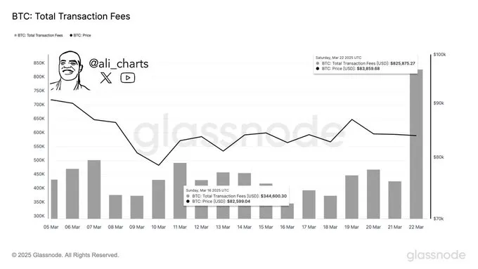 Bitcoin Network Activity