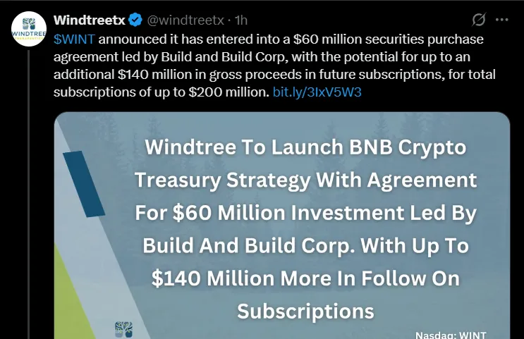 Windtree BNB Treasury Strategy