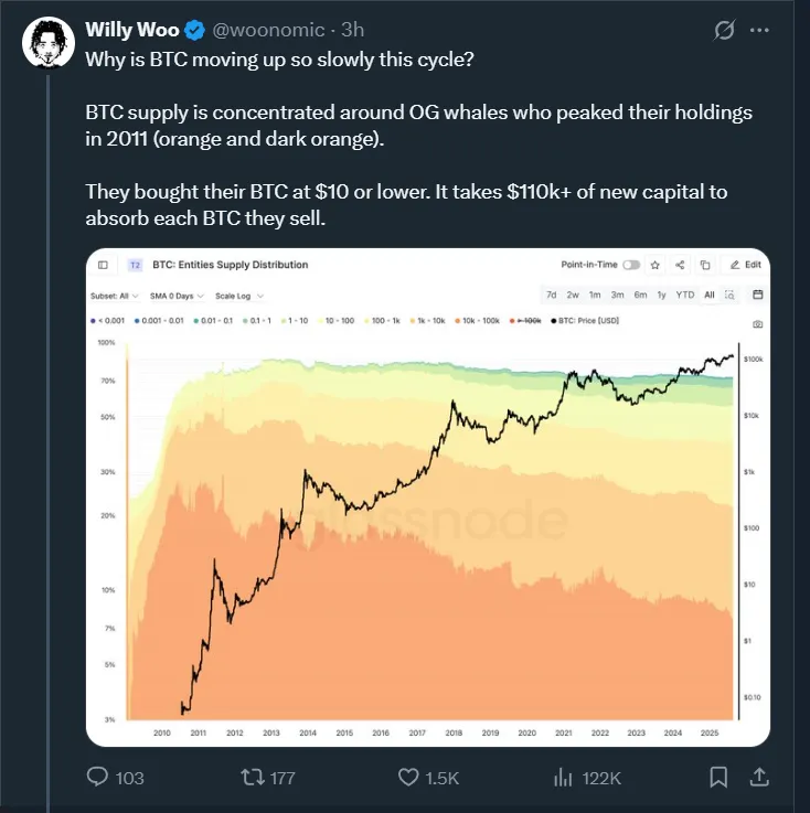 Willy Woo on Bitcoin