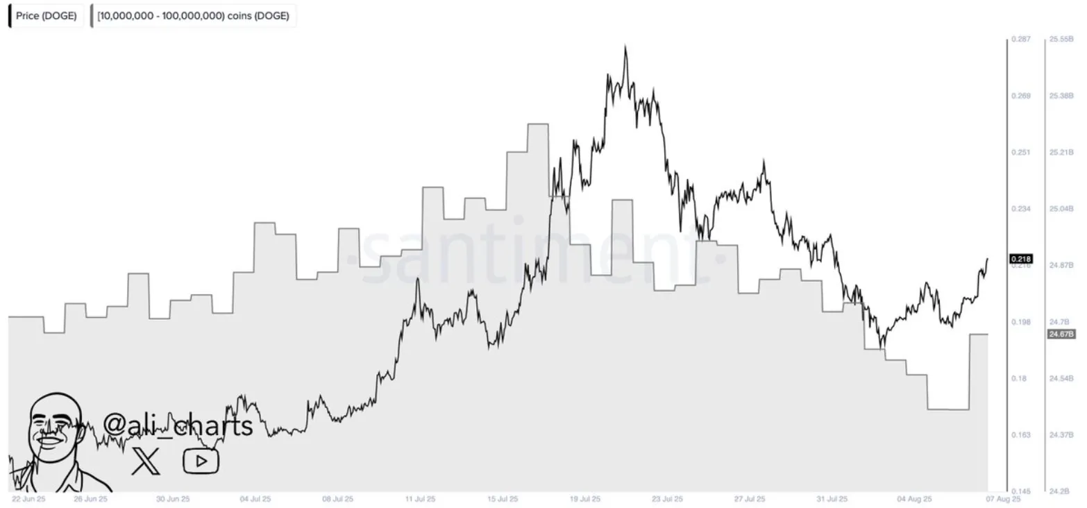 Doge wallets accumulation
