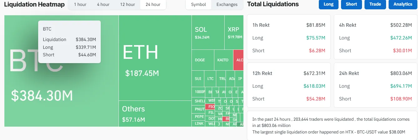 Whale Liquidations Whale Liquidations