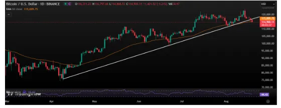 AD 4nXeJTa0D3n2kD49I3Ql vRk3h8oISxS fDSYfrzH3pkH CCOV 5yZX 3p6ArovMGK9dg0Zbn1Lv8n6LVcGH875y3hfVDKrCH