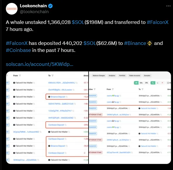 AD 4nXeJzsQwdZoOLssfHOudvdr Qslq8F68GXhAiLibZJ847RUbvVHyz6 ejeB3nMeRcUM9 asZW43IuvvvsrSpJOIMSY1CaIpu