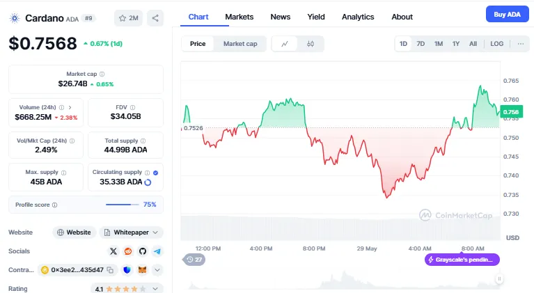 AD 4nXeTW3G 1v7GlKHZXC5bzEJEpt5wQdPs9ryyttmDw8fgc5w 9oSZfW1Ulu S6vtuck50xlSN0p887gbziS4g5H1Npi10FgCT