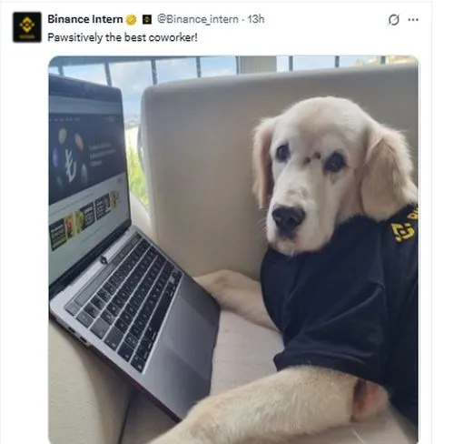 Binance Intern Binance Intern