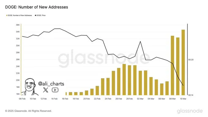 Dogecoin’s network growth Dogecoin’s network growth