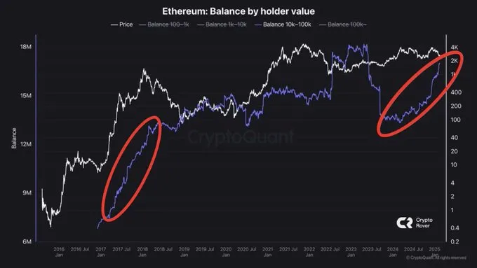 Whale Accumulation Whale Accumulation