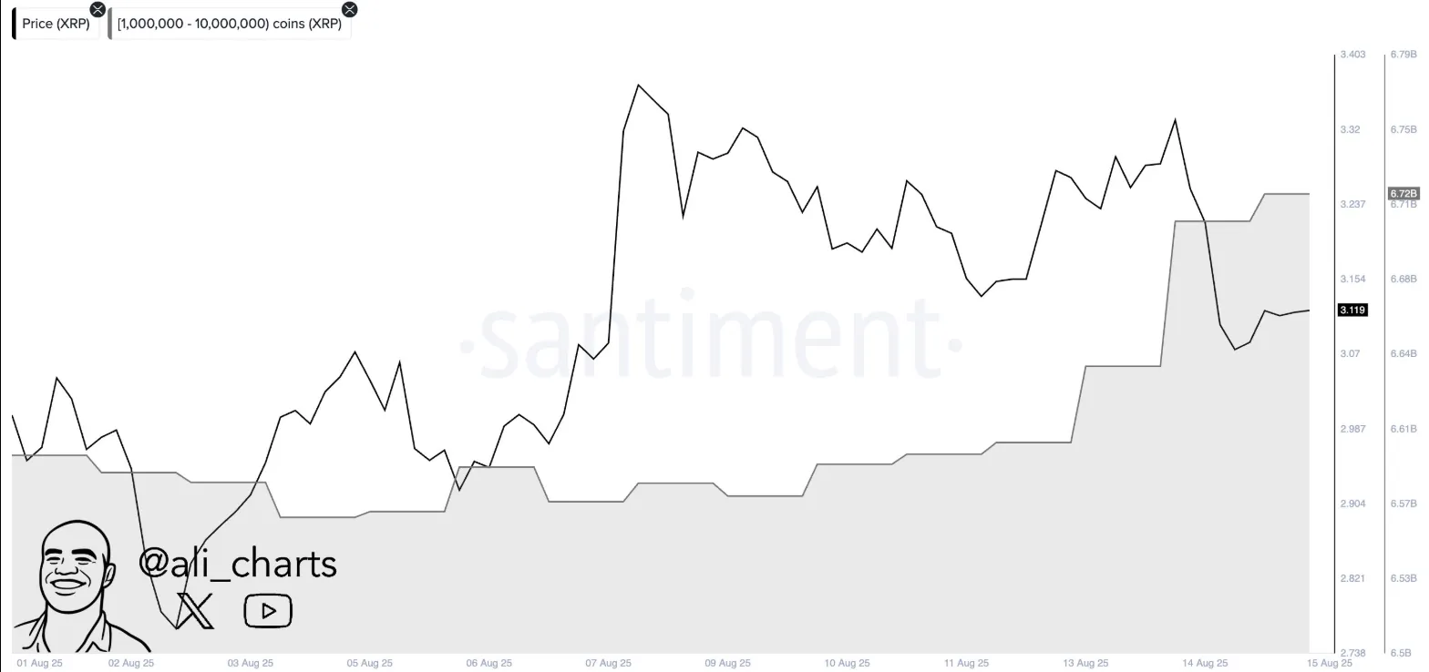 AD 4nXepaDvYXr64JsZVPYcJ1ruht4wo9OaPR42NmpMsO3KmgYi37Te ZIfck2UbEz4hvhV46cu SVkBRcxhtZyqhVxBMSP4vxyX