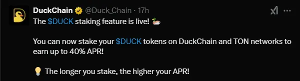 DuckChain Staking