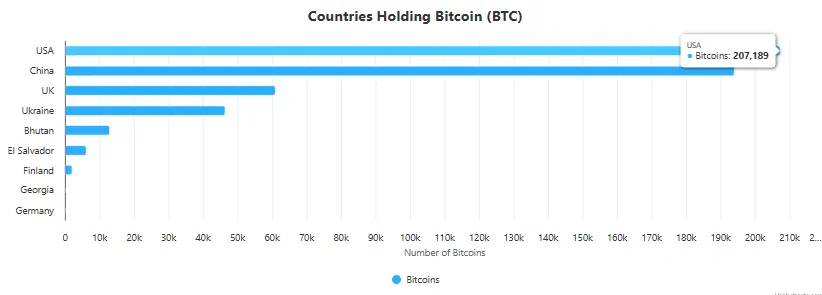 Top Bitcoin holders
