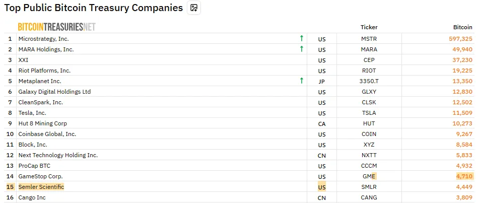 Bitcoin Treasuries Net Bitcoin Treasuries Net