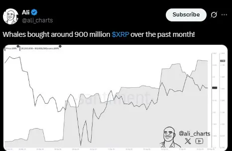 XRP Whales Accumulation