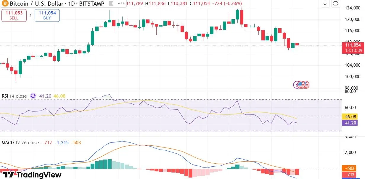 Will Bitcoin Crash or Rise Again