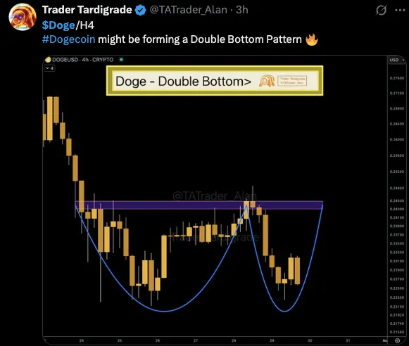 trader tardigrade trader tardigrade