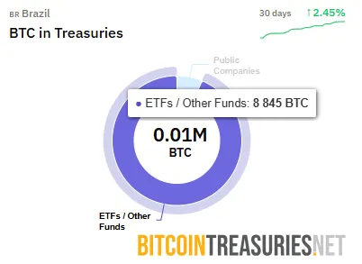 Brazil Bitcoin holdings