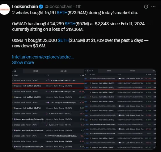 Whale Activity Signals Long-Term
