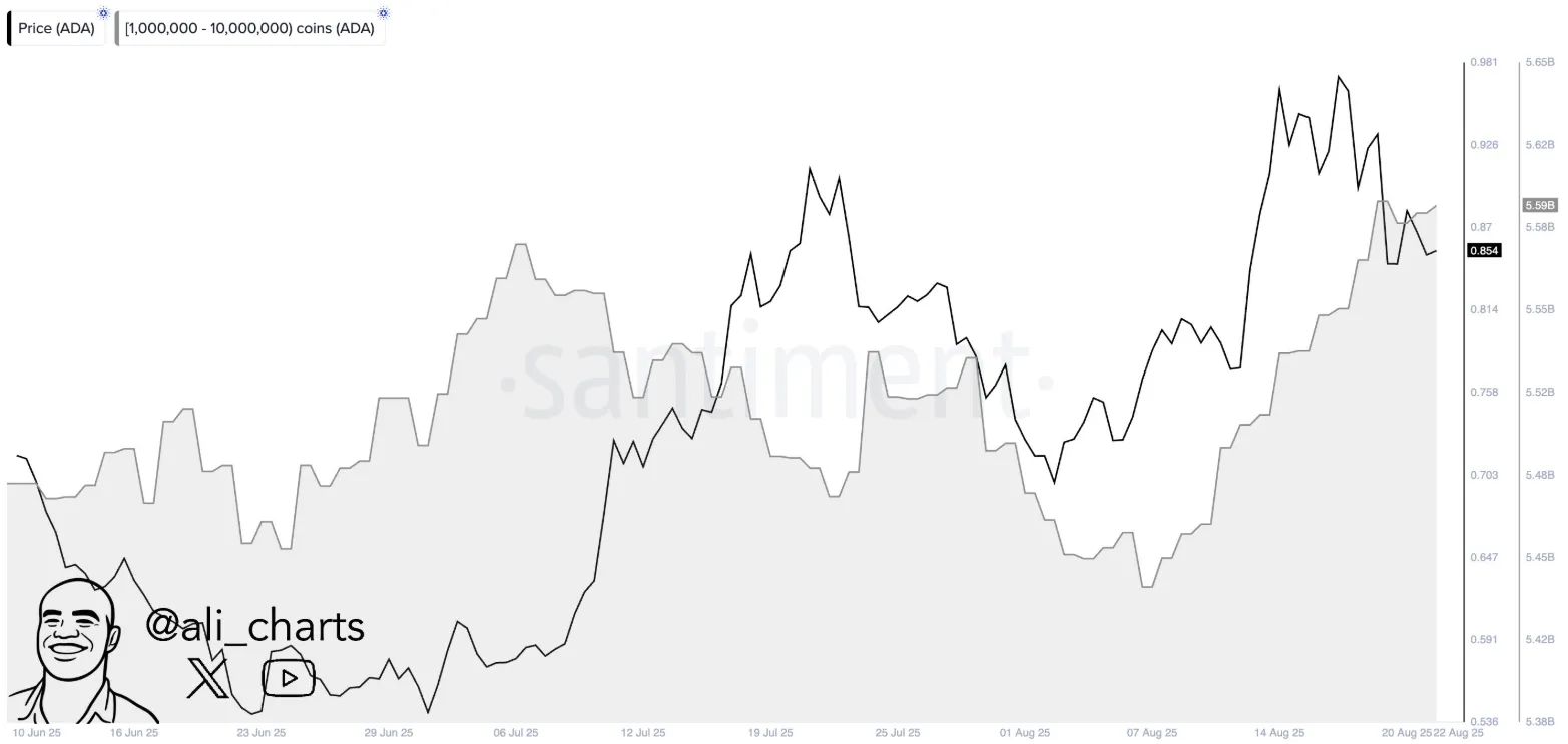AD 4nXf7BsGAuTo dI72K2hWv7BnVhoijjZHAlbNONUx25p5jSgc95ikjGPKg06D4uayh1mh NfNzpvU30PzA9wm7f jaUFSTRfZ