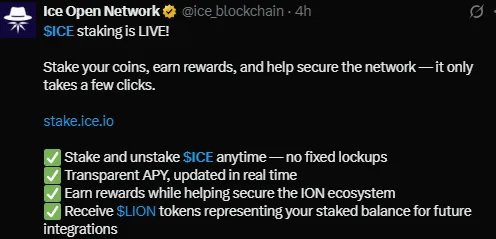 ICE Network ICE Network
