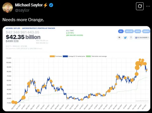 Michael saylor Michael saylor