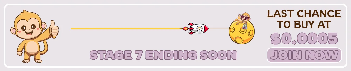 Invest in MoonBag Presale 