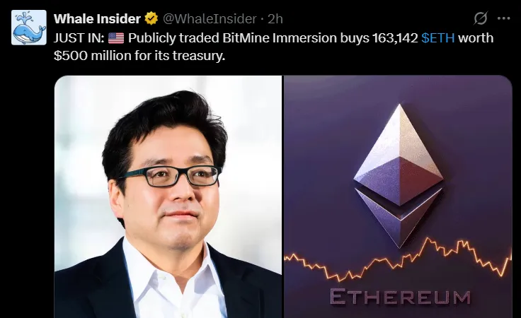 Bitmine Ethereum Purchase