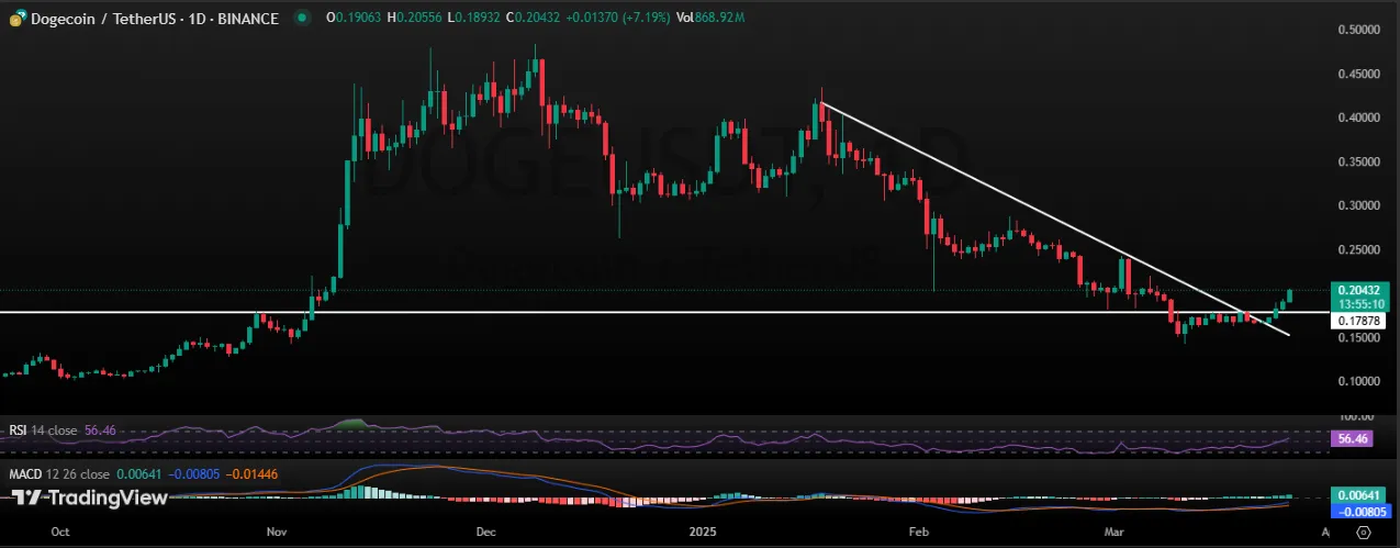 DOGE/USDT 1- DAY CHART