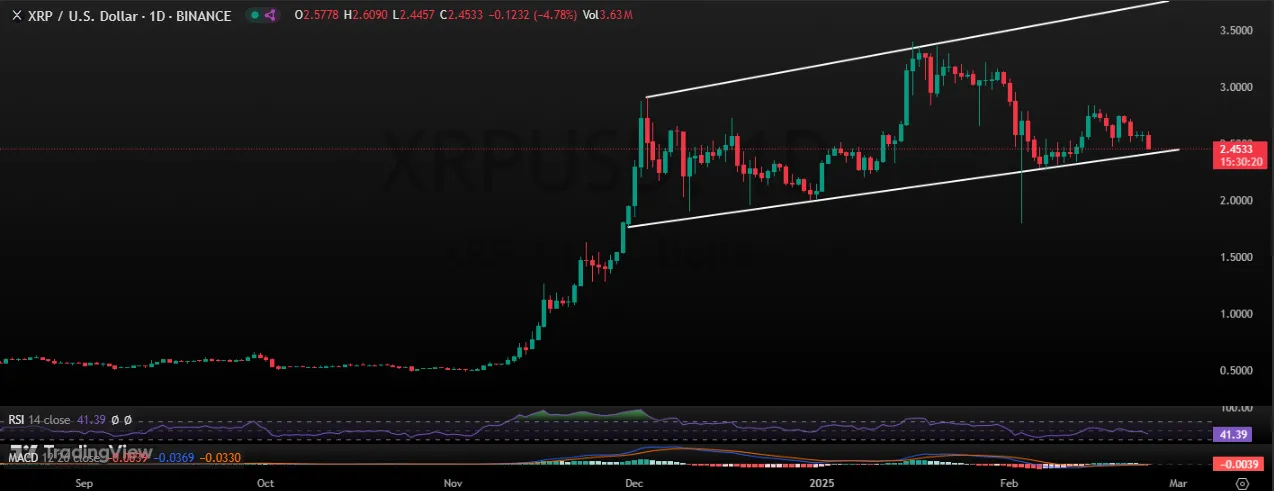 XRP/USDT Daily Chart