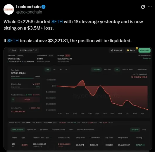 Whale Position Whale Position