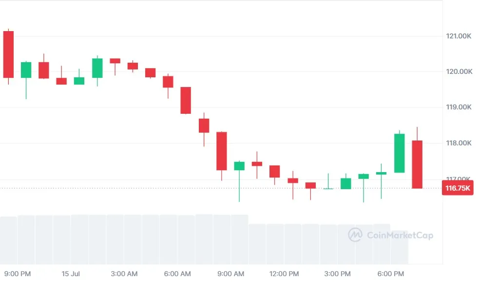 Bitcoin Bloodbath