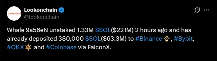 Solana Whale Activity