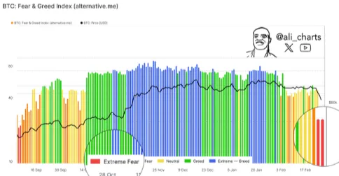 Fear and greed Crypto