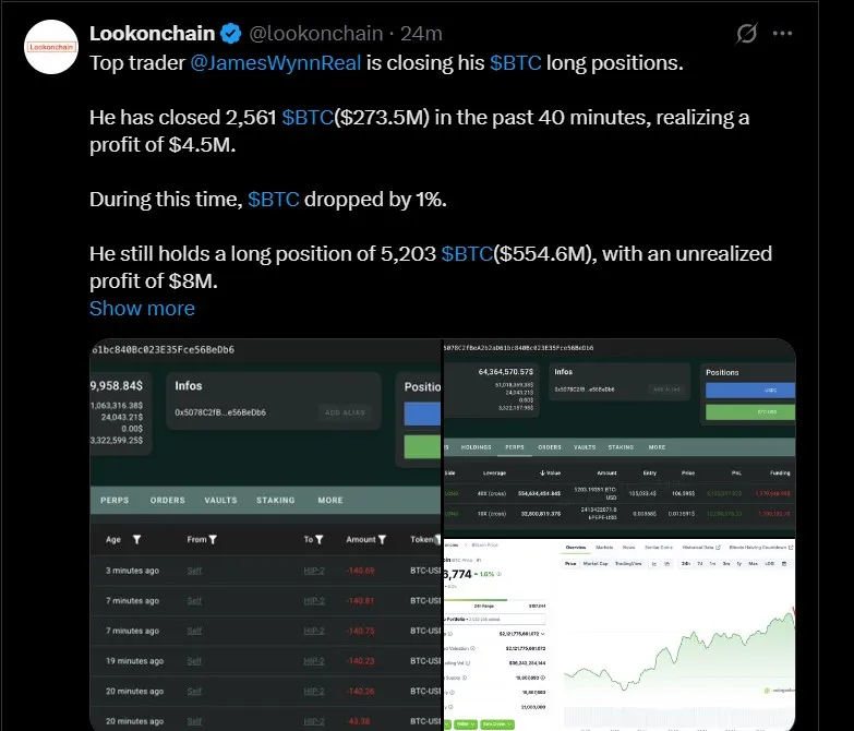 Bitcoin Whale Activity