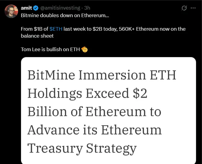 Bitmine Ethereum Holdings