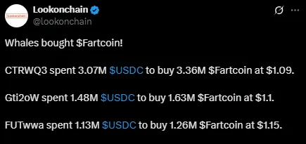 Whale Fartcoin accumulation