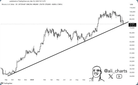 Expert Insights on Bitcoin’s Next Move Expert Insights on Bitcoin’s Next Move