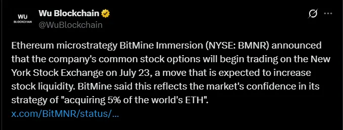 Ethereum Microstrategy BitMine Immersion