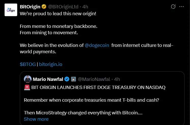 Bit Origin Dogecoin Treasury Strategy